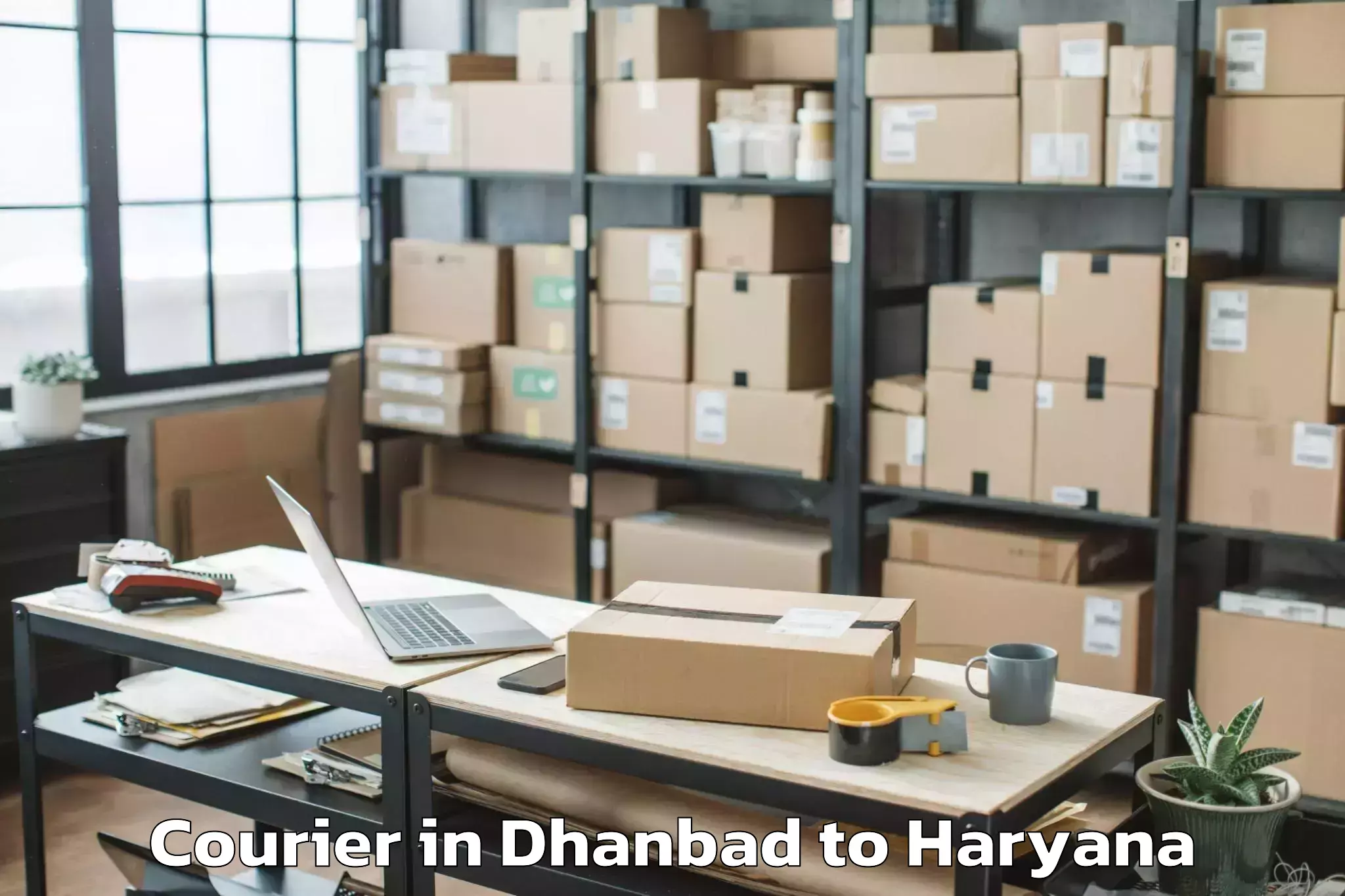 Easy Dhanbad to Tosham Rural Courier Booking